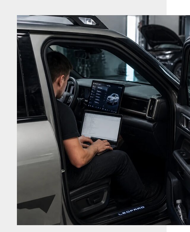 Русификация BYD Leopard 3 в Ртищеве по цене от 20328 р. | ФастМобиль-Ртщ